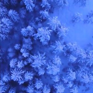 Meet your Posher, Meron